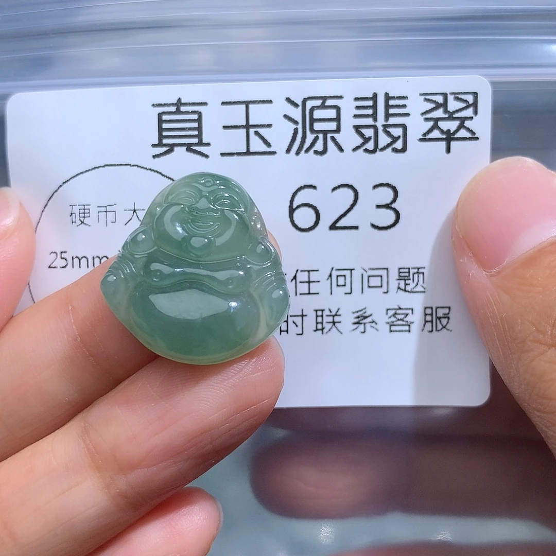 翡翠未镶嵌颈饰623。