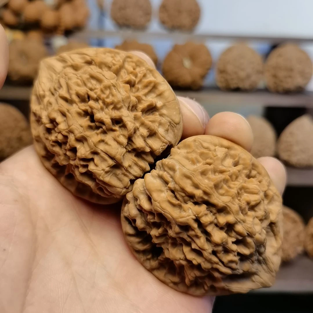 把件文玩核桃47全品官帽