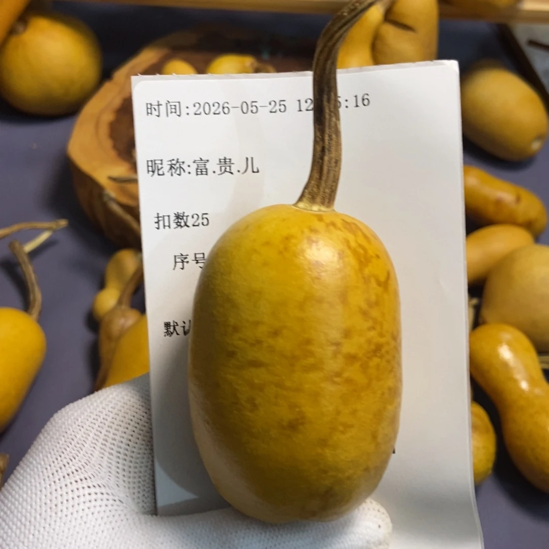 富***儿哈哈哈哈哈哈哈哈哈哈哈