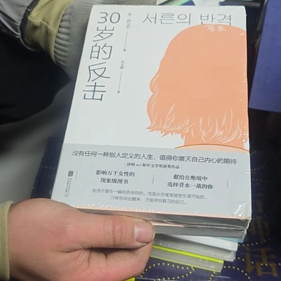 30岁的反击平装库存书