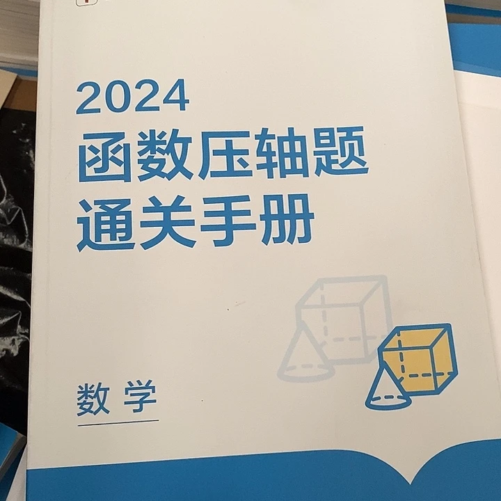 2024函数压轴题通关手册数学