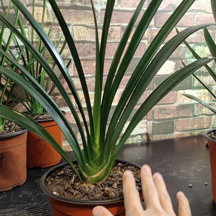 完全开放1111111111