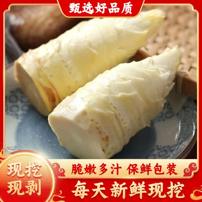 临安冬笋新鲜现剥笋肉冬笋肉天目山冬笋