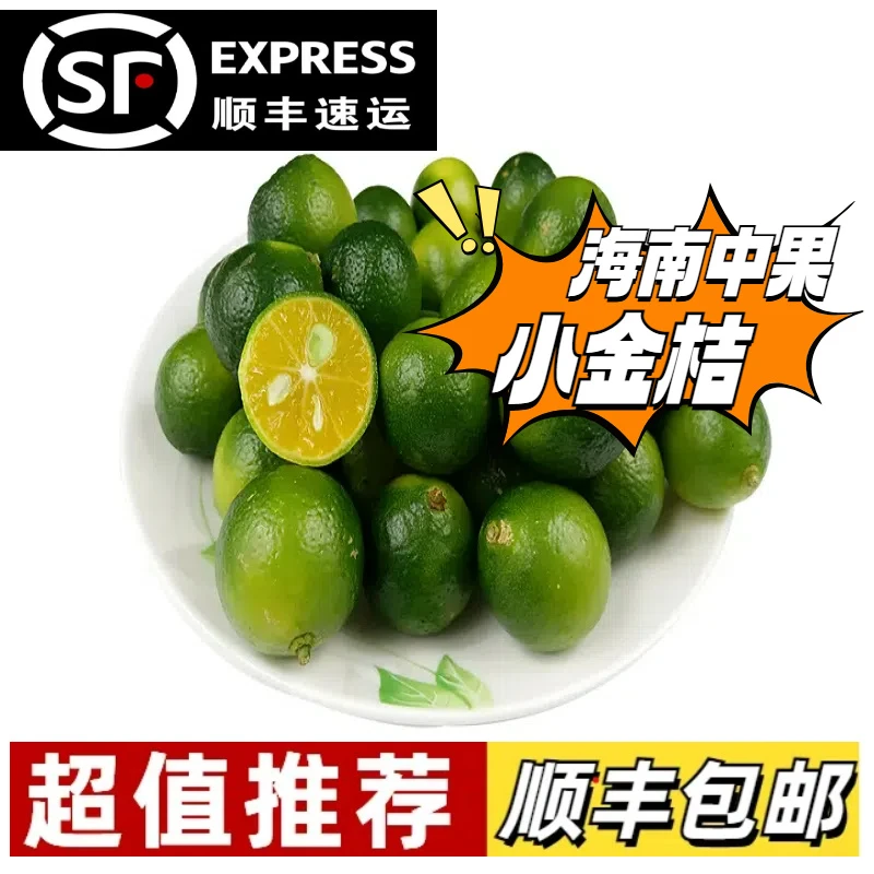 海南小金桔中果新鲜小青柠奶茶店商用餐饮店配料