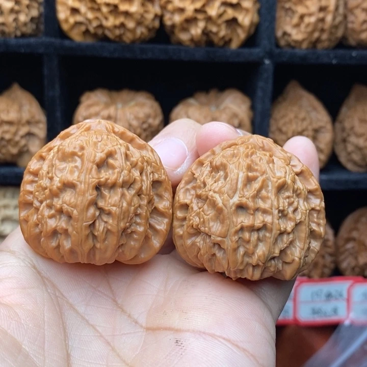 杜***n核桃40尺全全品白狮子