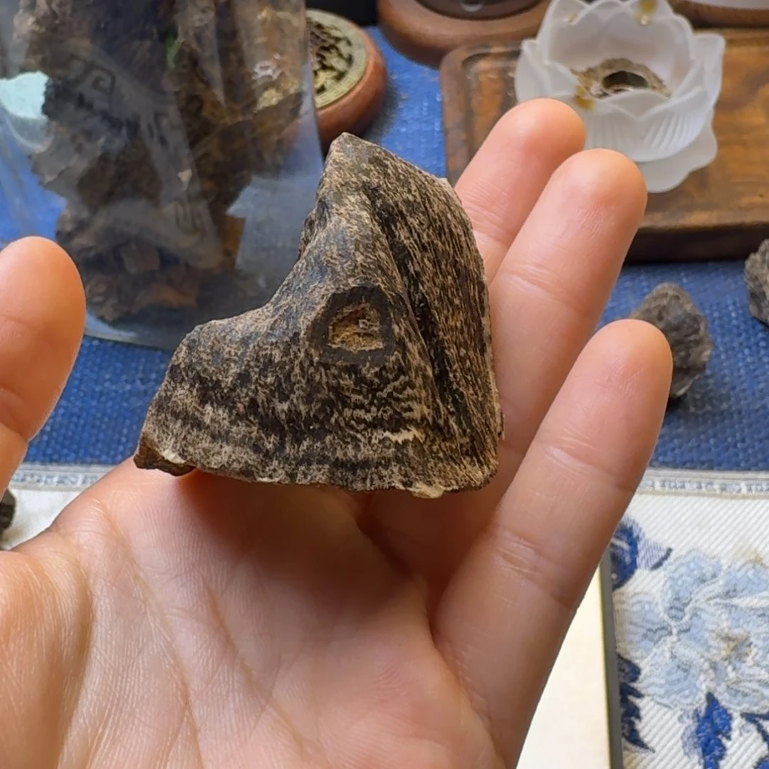 树脂制品用*香港老包壳一块4.4