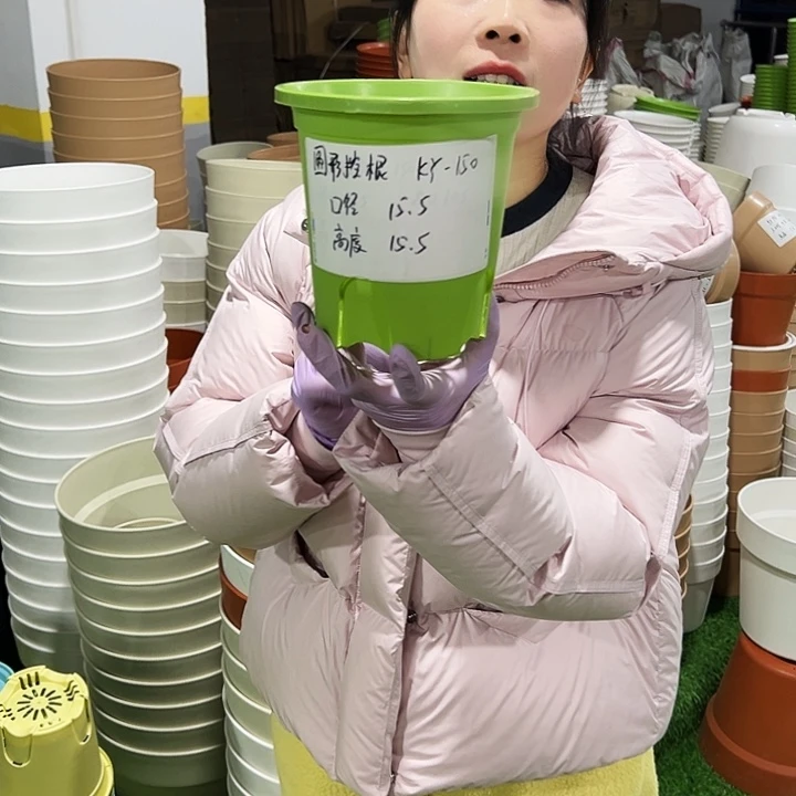 正品圆控口15高15果绿10只无托