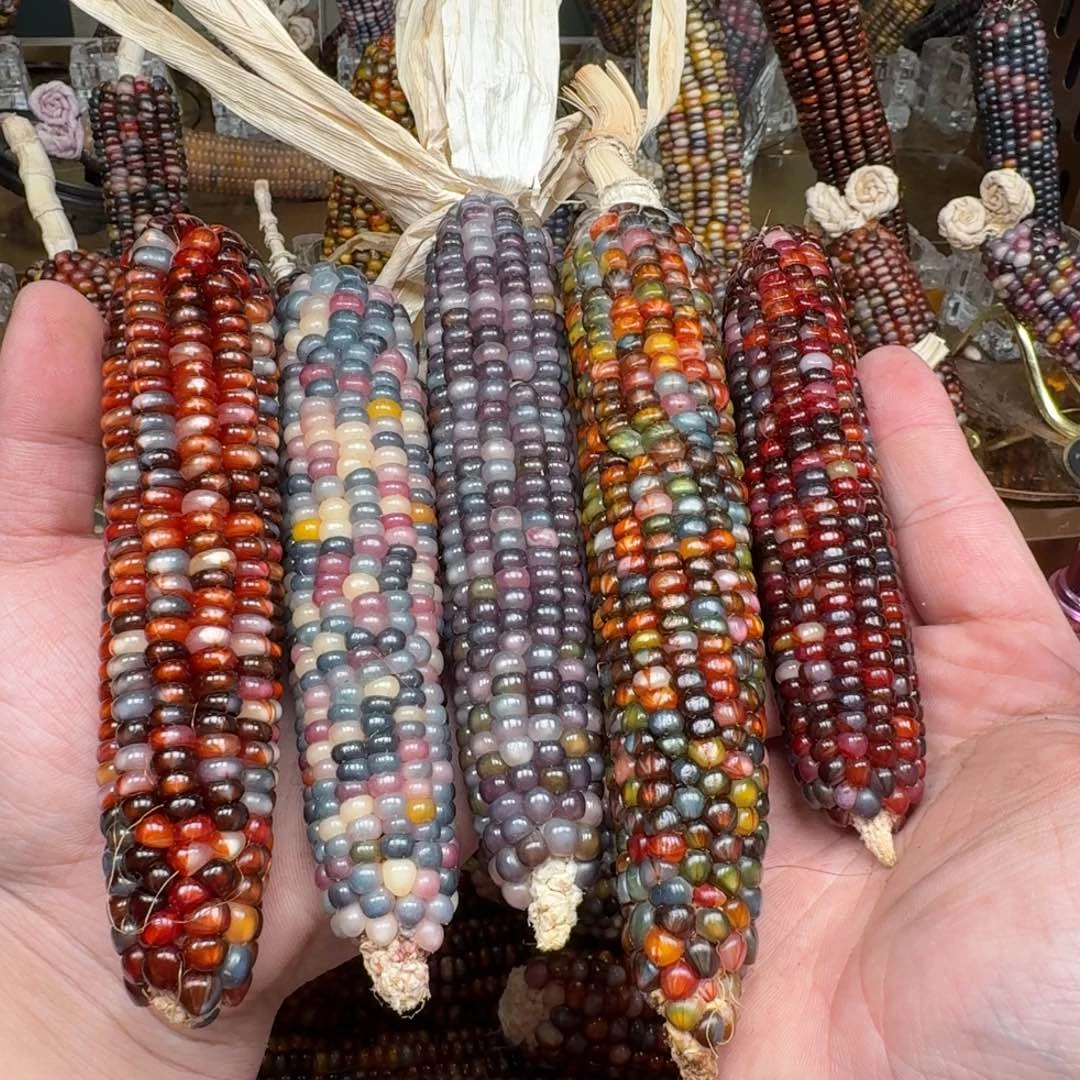 柏香籽/百香籽吊坠羽*⁹