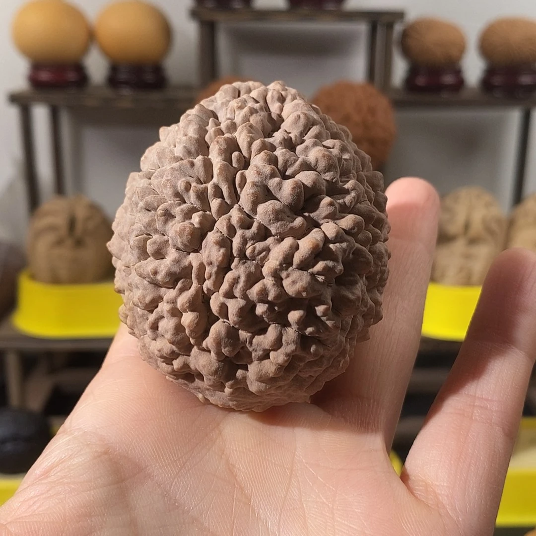 吊坠文玩核桃今****力刺龙单只5162