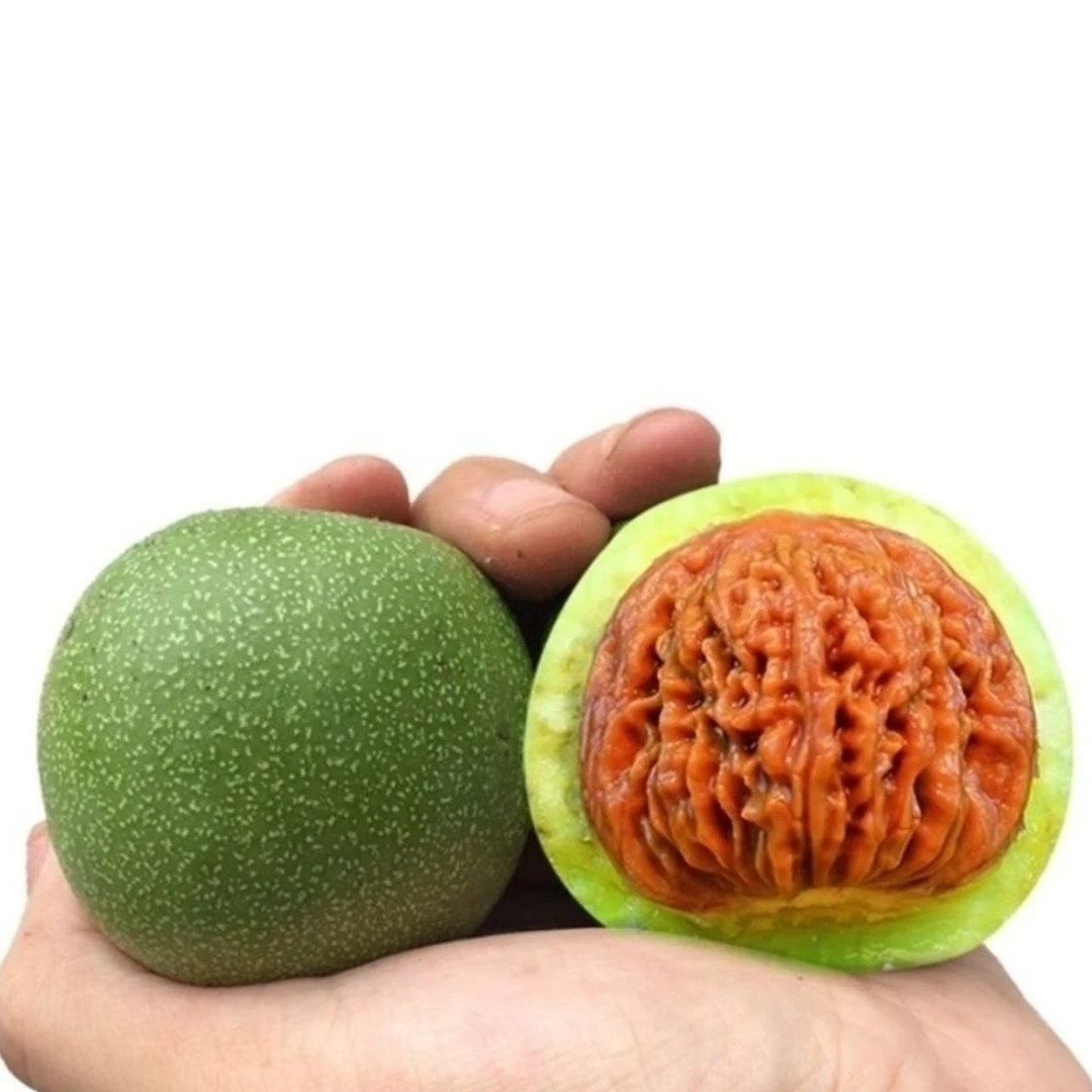 四座楼狮子头青皮文玩核桃精品盘把件