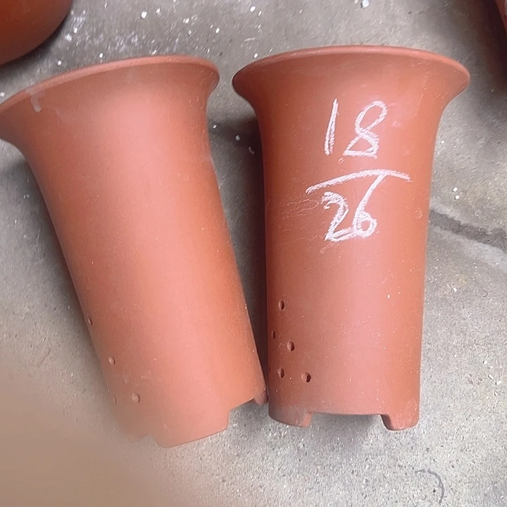 紫砂紫砂紫砂紫砂紫砂