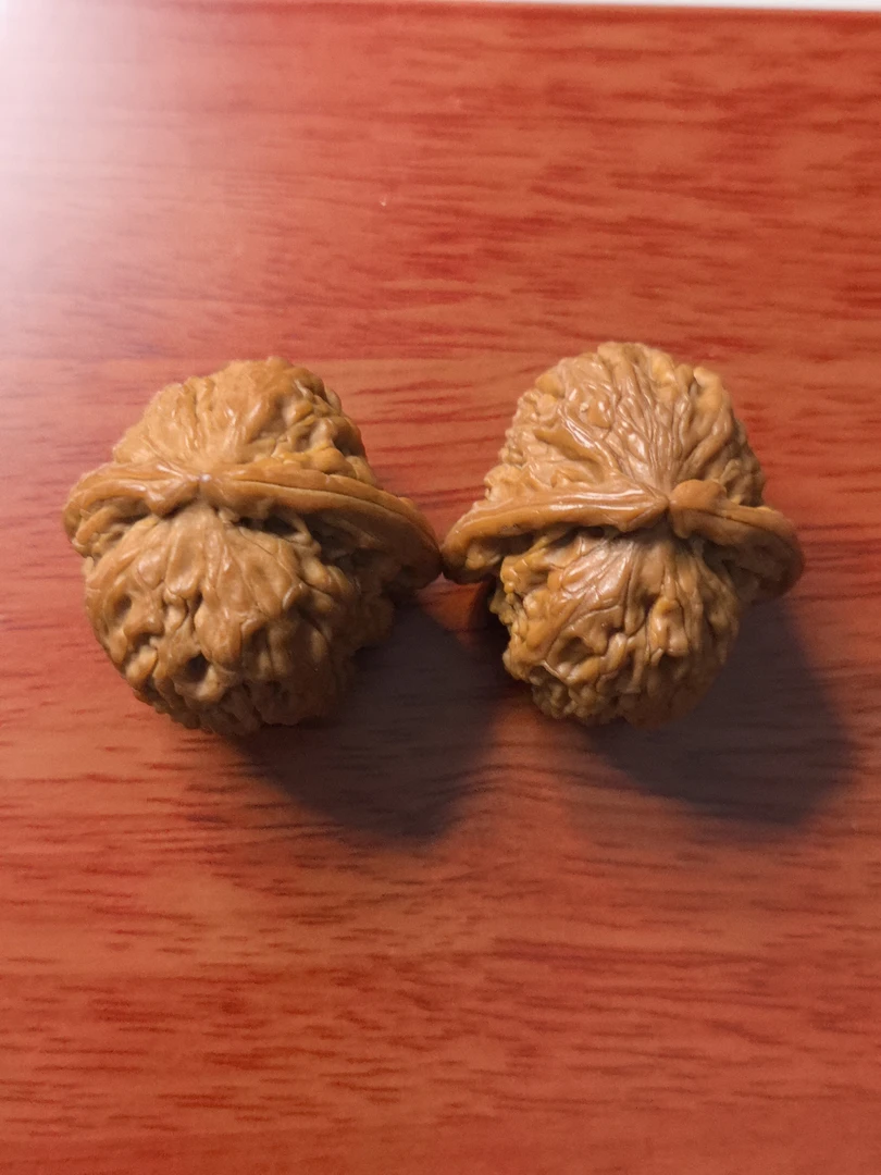 35-核桃一对，已打底！