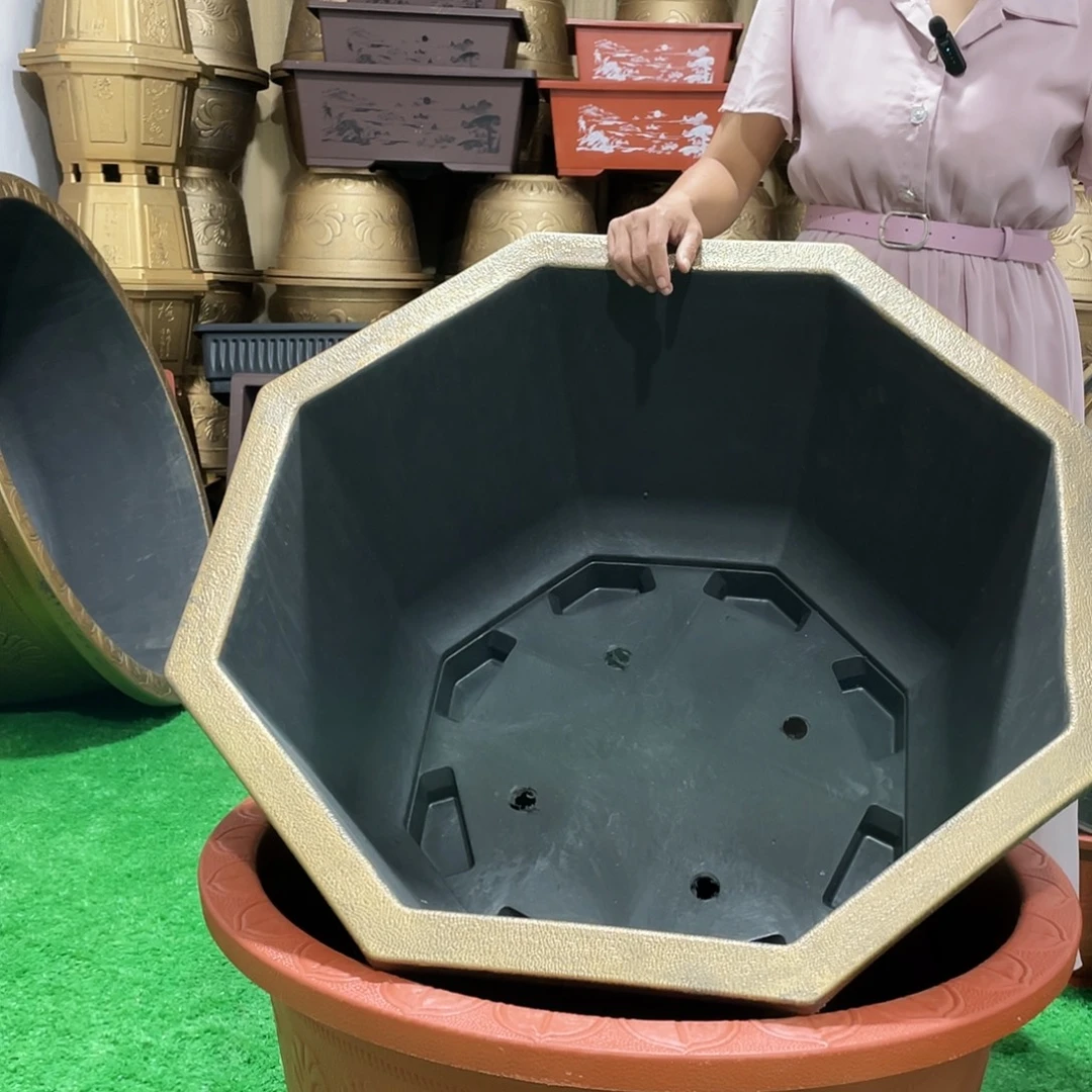 园盆古铜七零一个