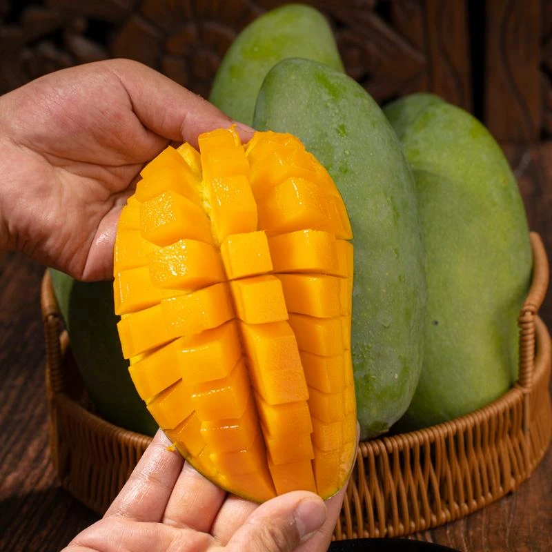 【大青芒】云南新鲜芒果应季水果清新 4斤 X