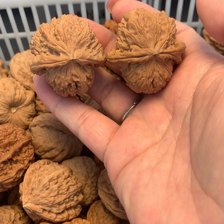 文玩核桃把件白狮子