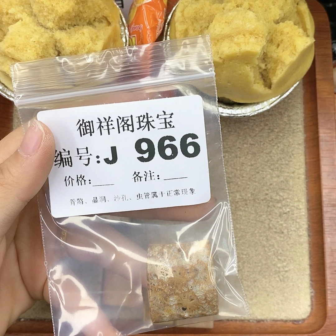 硅化珊瑚（珊瑚玉）颈饰未镶嵌玖*