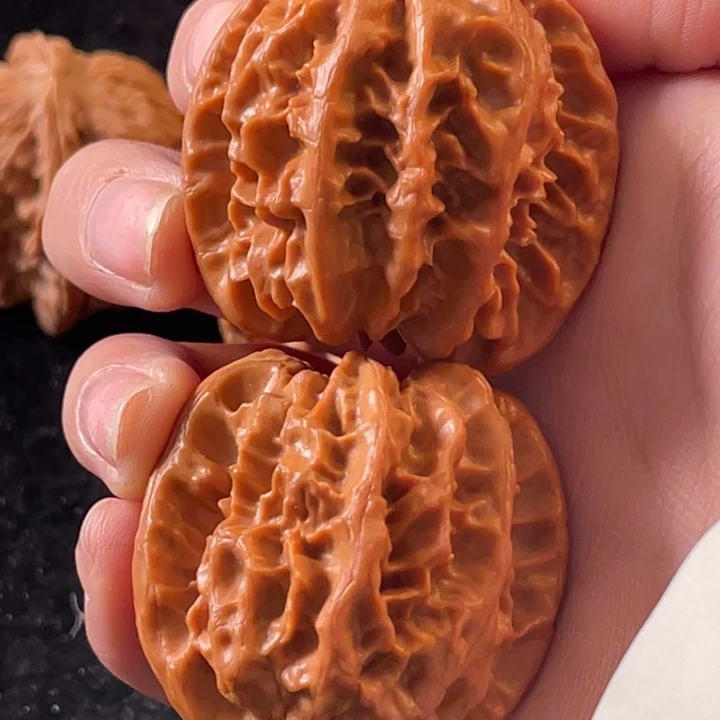 大叶紫檀（黑酸枝木类）