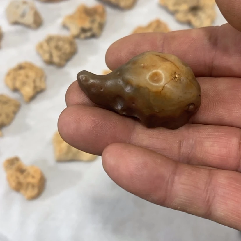 【闪购商品】妙*q m m n n b b b n m