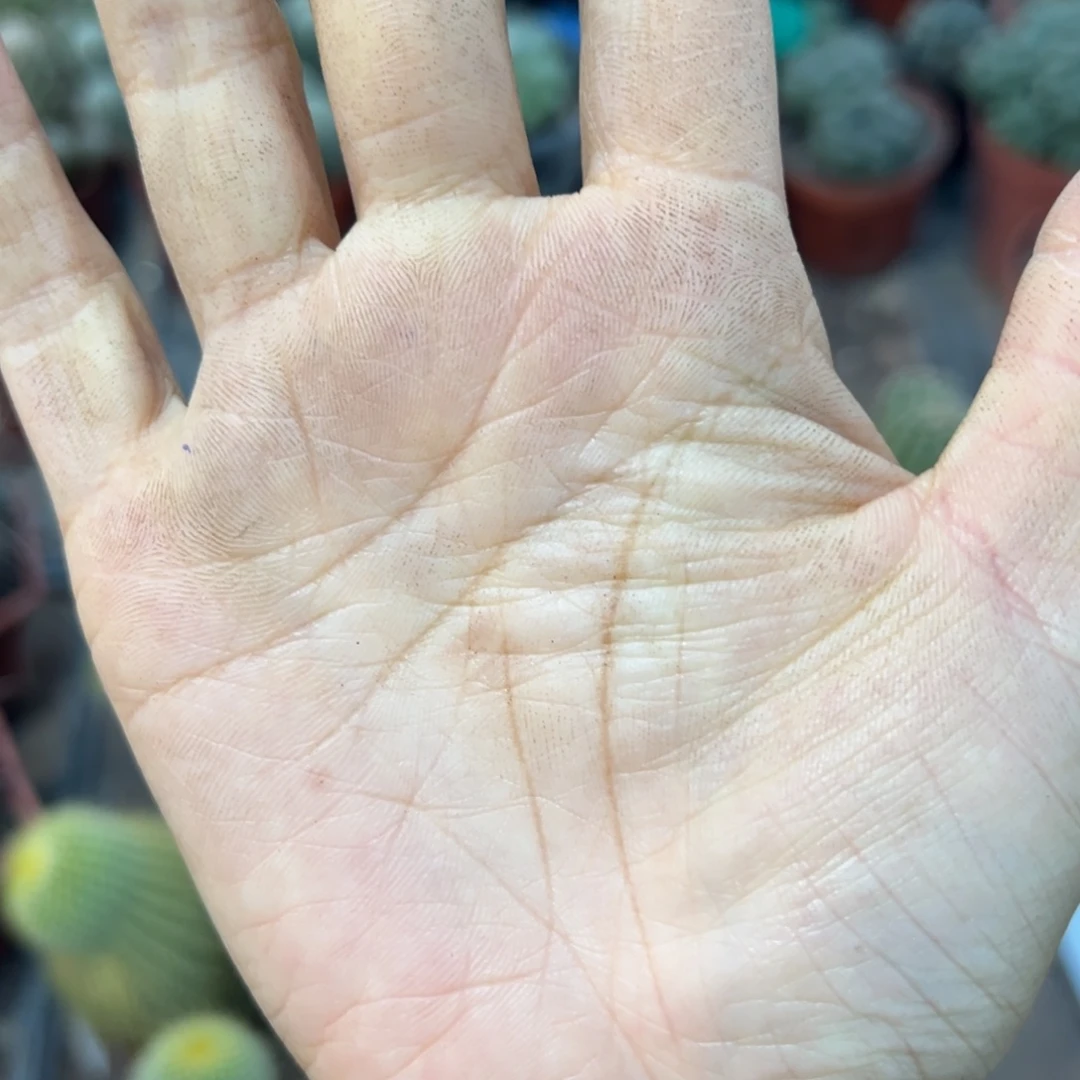 爆***巫余额652 零零落落 零零落落