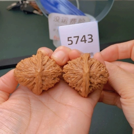 把件文玩核桃39高炮凹底南疆石5743