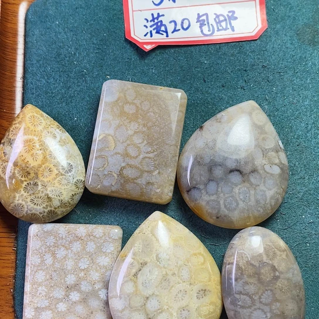 硅化珊瑚（珊瑚玉）吊坠未镶嵌