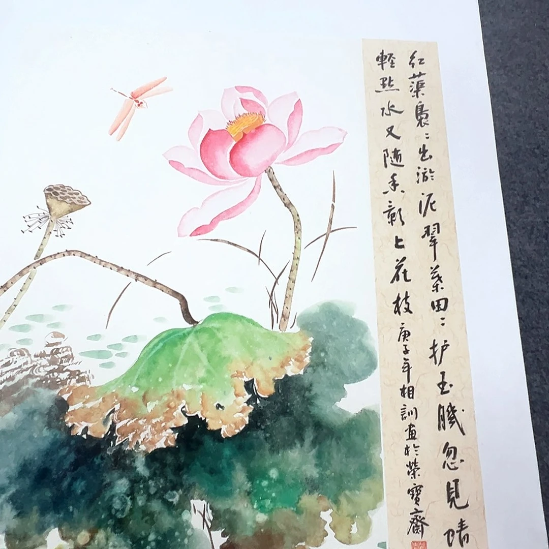 竖款早上好早上好来了