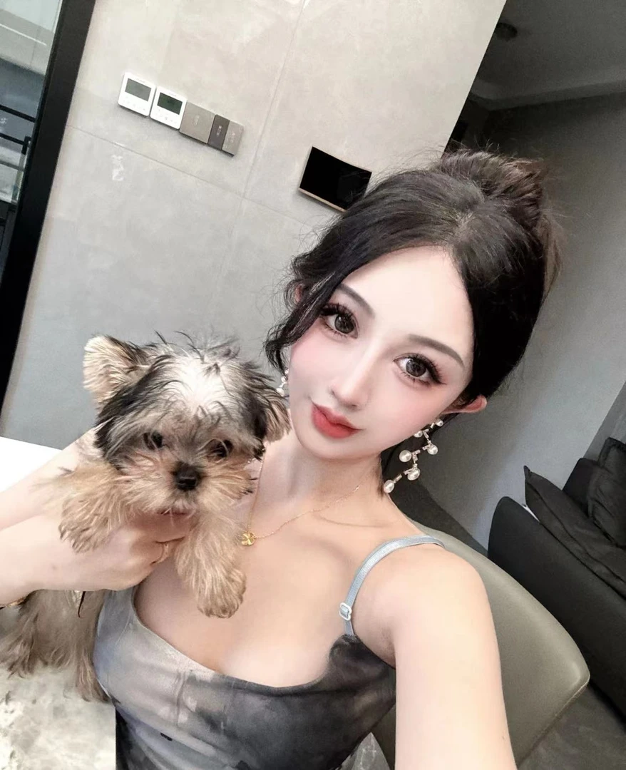 李恒如何带你去看约克夏修剪洗护