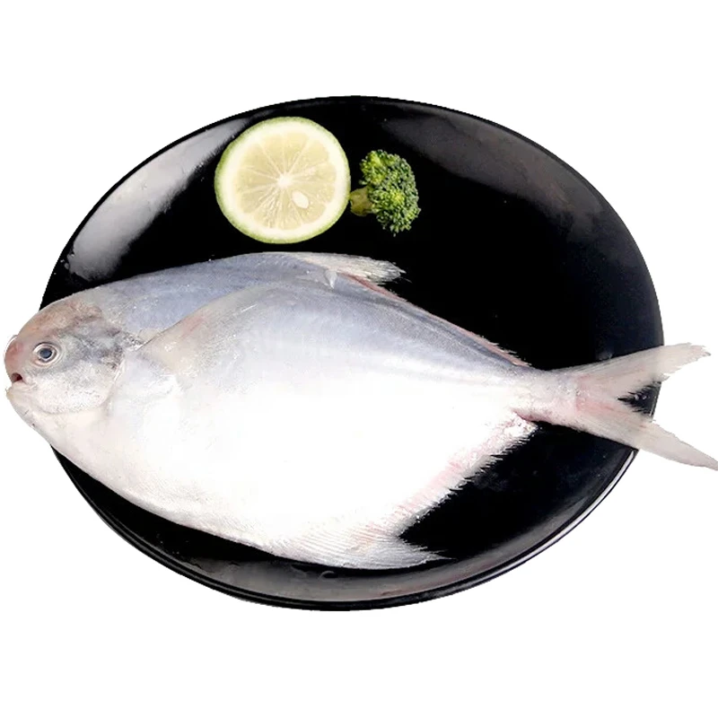 冰鲜白鲳鱼小约350g