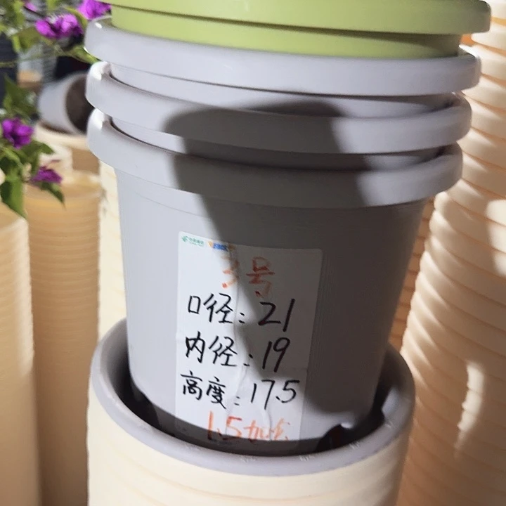 四季3号灰白无托10个特价微瑕