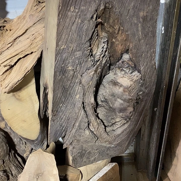 金丝楠木小叶桢楠木