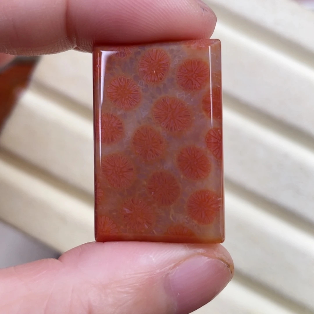 【闪购商品】硅化玉吊坠(赠链)未镶嵌