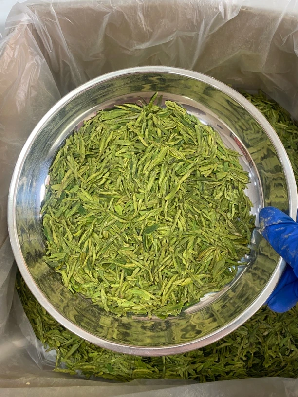 【320#】25年龙形白茶大佛龙井产区 浓香豆香兰花香