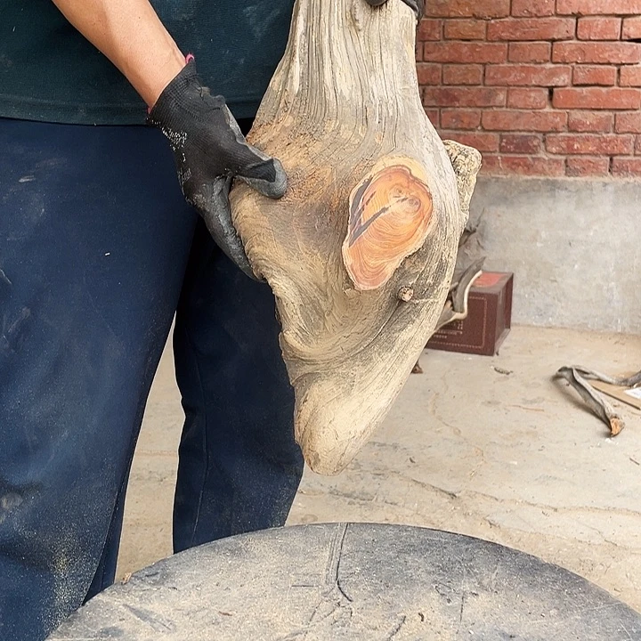 柏木竹**人崖柏崖柏崖柏