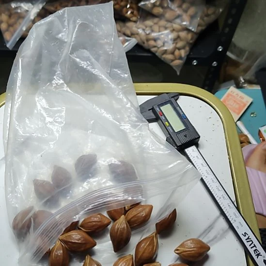 龙***面橄榄核吊坠梅林牛头核