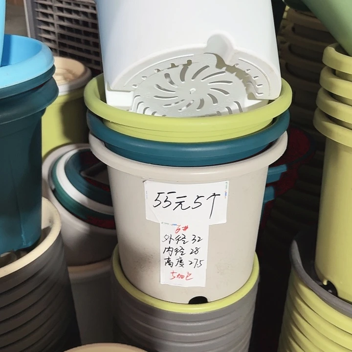 四季6#口径32高27无托果绿5个