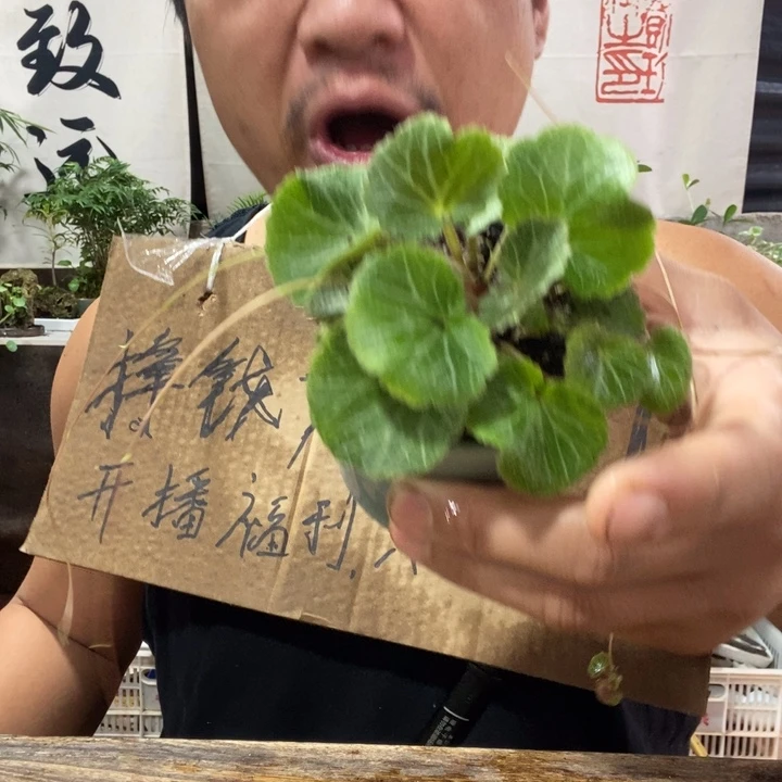无花朵退款拉黑拉黑6