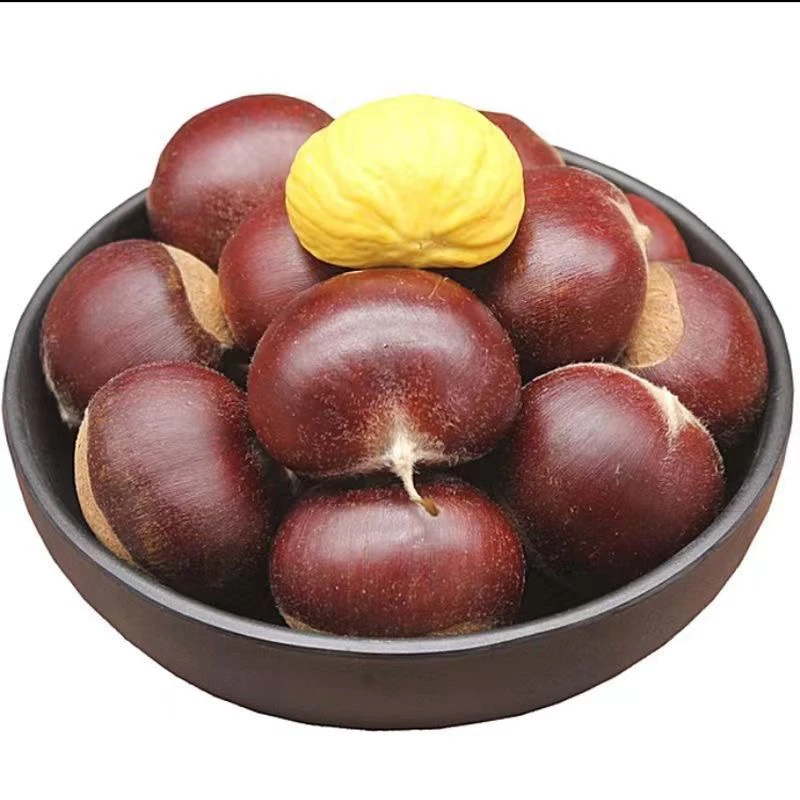 （佳佳）新鲜生板栗香甜饱满粉面香糯