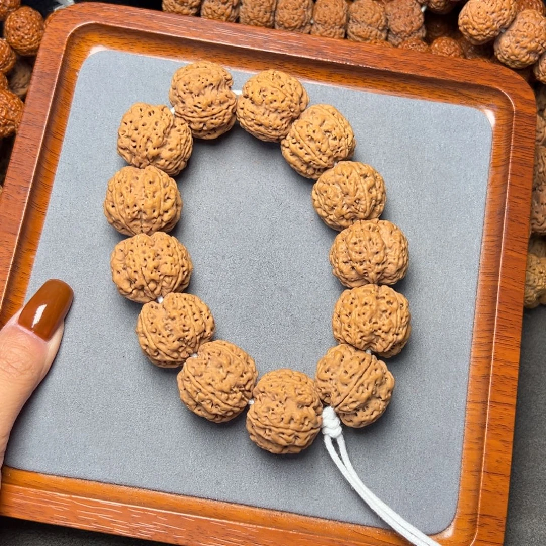 菩提26号金刚菩提梅花满肉26