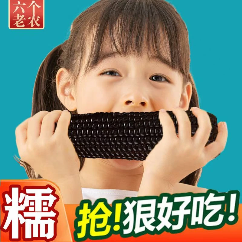 25年头茬黑玉米真空装鲜富含花青素到手14根左右送货上门