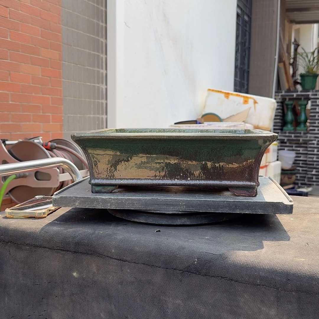 红陶嗯g g g g g g g g g