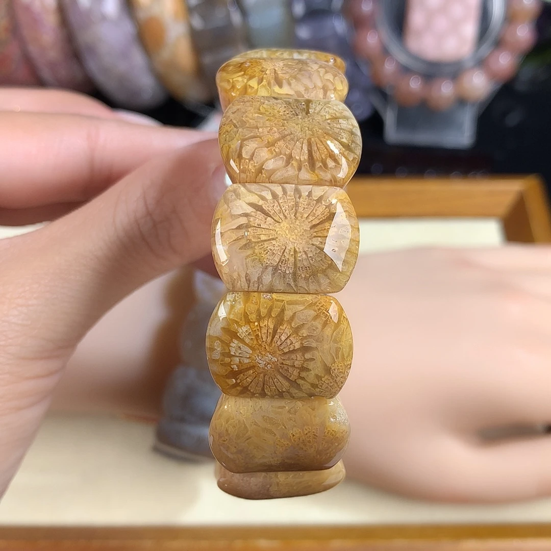 硅化珊瑚（珊瑚玉）未镶嵌吊坠(赠链)16号