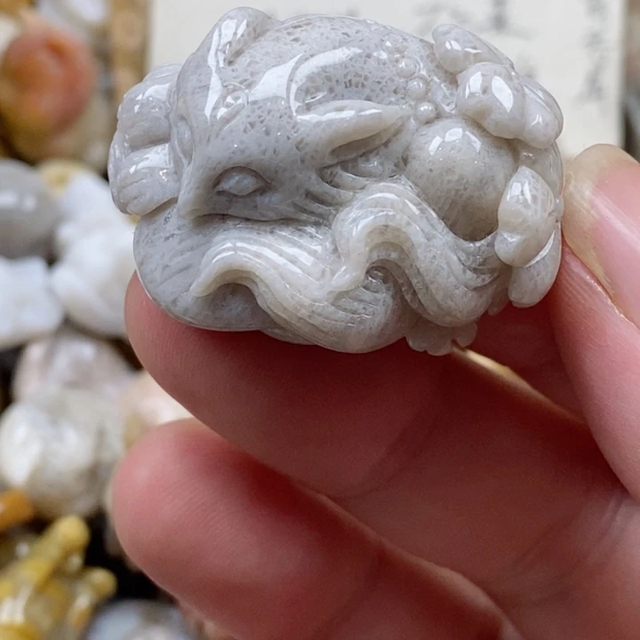 颈饰未镶嵌硅化珊瑚（珊瑚玉）小