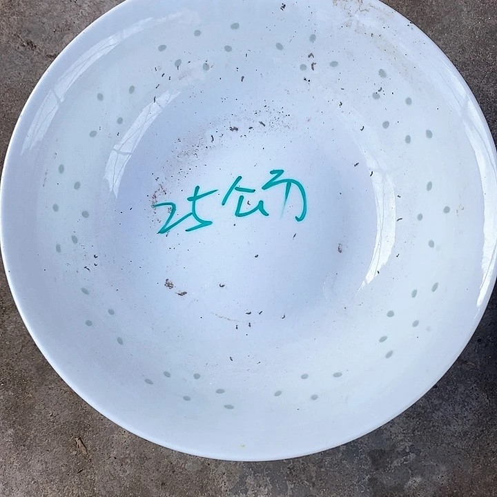 瓷片我是第一百个来到