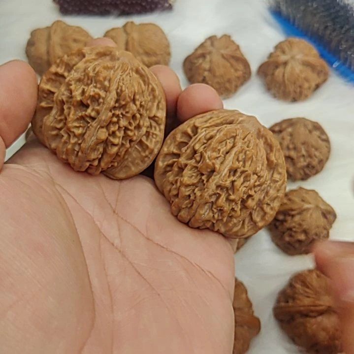 45尺全品四座楼福利款