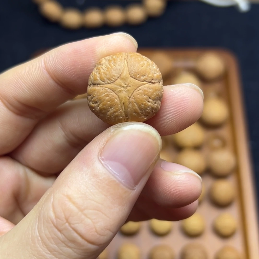 凤眼菩提手串21+麒麟眼