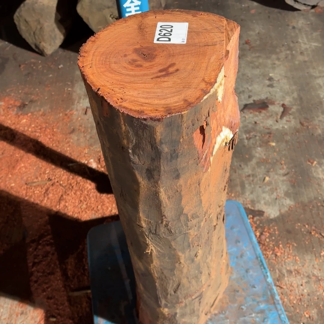 心***！一物一拍血檀编码620