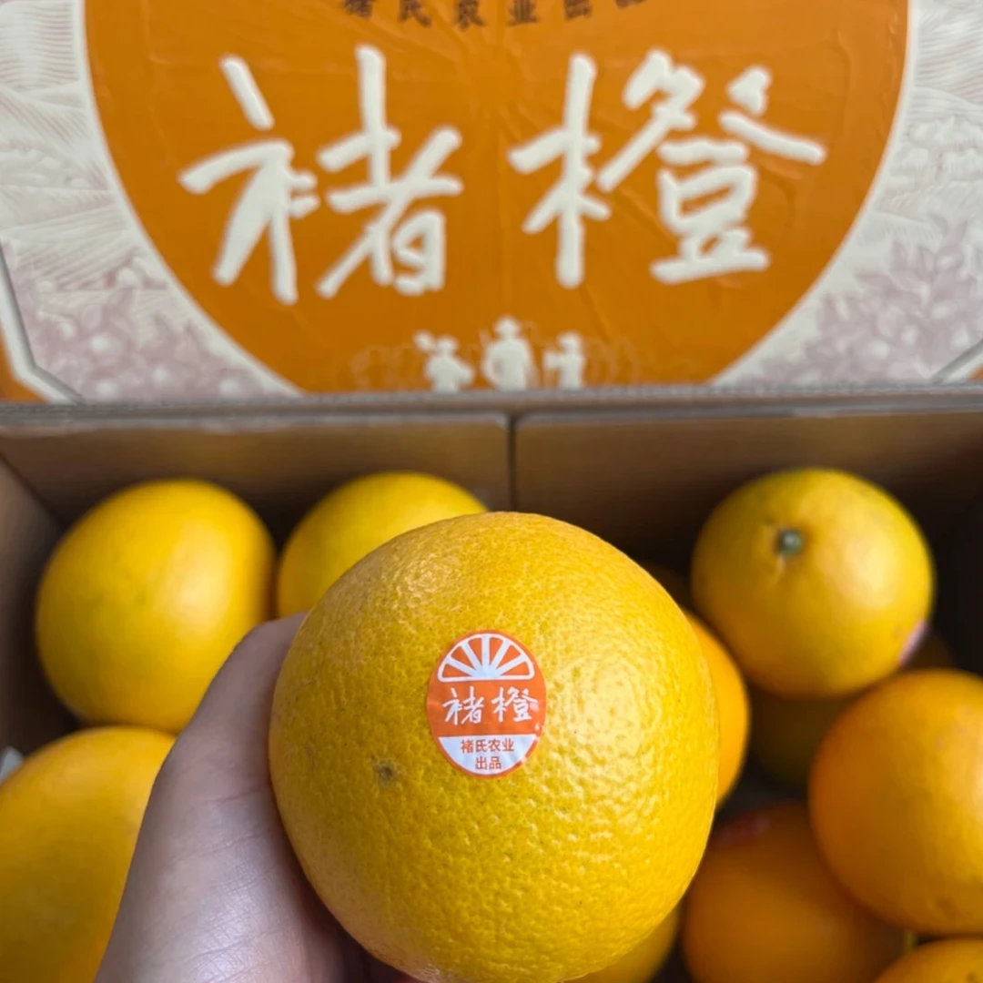 云南褚橙带防伪正宗玉溪哀牢山褚橙励志橙新鲜冰糖橙水果当季礼盒