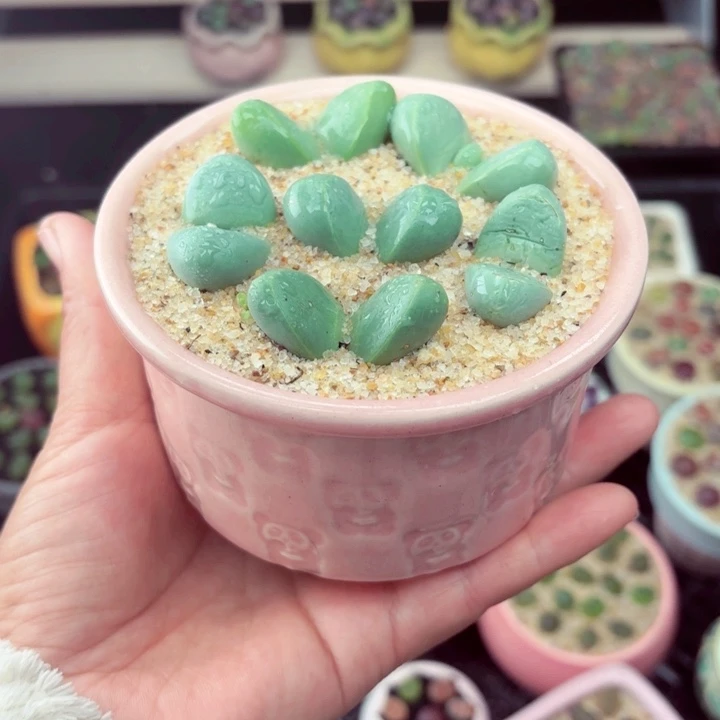 542零下地区记得拍保温箱满18包邮