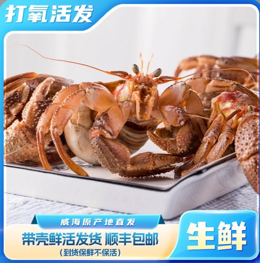大连威海虾怪带壳虾怪3斤 鲜活发货保鲜不保活 顺丰包邮 鲜活海怪