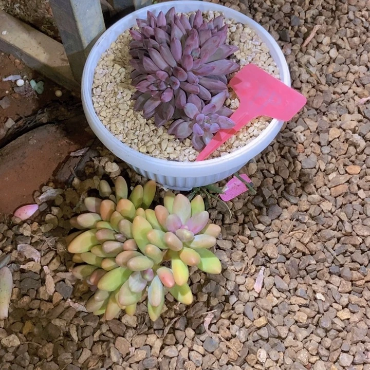 在家干的好无聊的